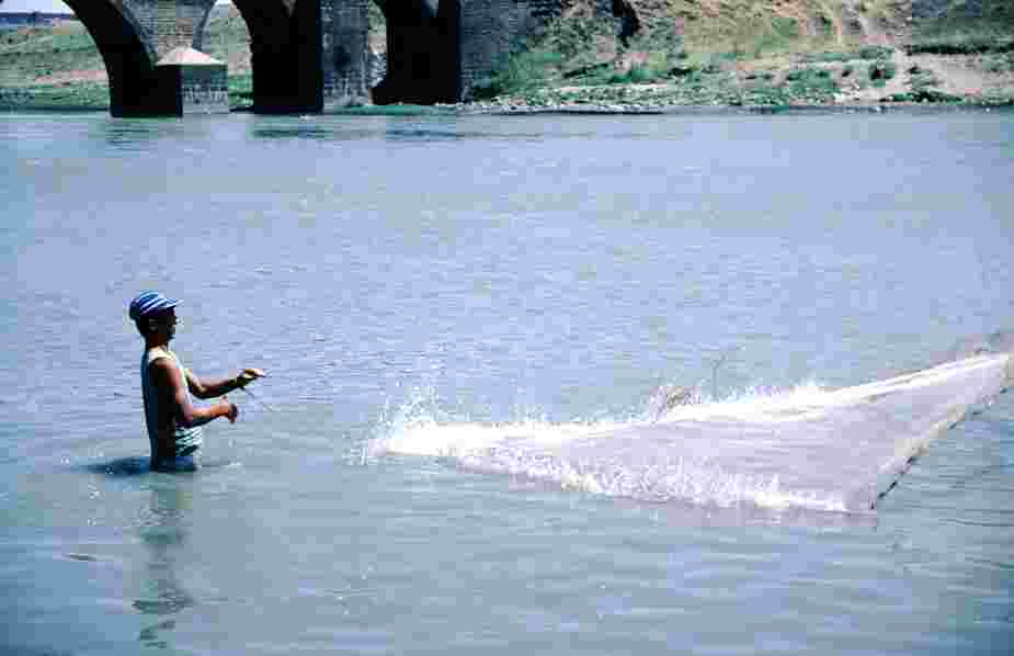 A man fishing in Galilee